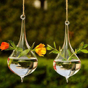 Pointed Tear Drop Glass Hanging Vase