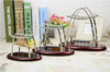 Newton Cradle Balance ( 3 Sizes )