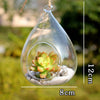 Tear Drop Hanging Glass Terrarium