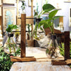 Vintage Style Table Bonsai Bulb Stand ( 2 Variants )