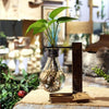 Vintage Style Table Bonsai Bulb Stand ( 2 Variants )