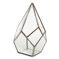 Succulent Diamond Glass Geometric Terrarium