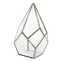 Succulent Diamond Glass Geometric Terrarium