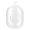 Capsule Glass Terrarium