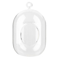 Capsule Glass Terrarium