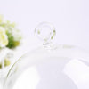 Capsule Glass Terrarium