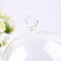 Capsule Glass Terrarium