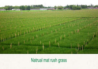 Natural Grass Mattress For Summers