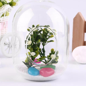 Capsule Glass Terrarium