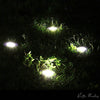Solar Garden Disc Lights
