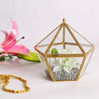 Gazebo Landscape Terrarium