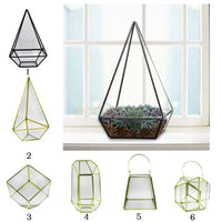 Prism Shaped Terrarium Container