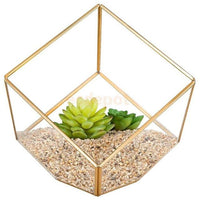 Prism Shaped Terrarium Container