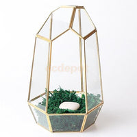 Prism Shaped Terrarium Container