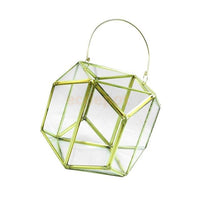 Prism Shaped Terrarium Container