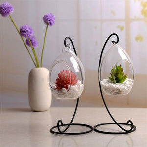 Hanging Glass Vase Ellipse Hanging Terrarium