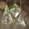 3 Styles Hanging Glass Vase