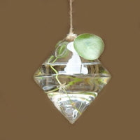 3 Styles Hanging Glass Vase