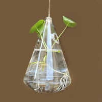 3 Styles Hanging Glass Vase