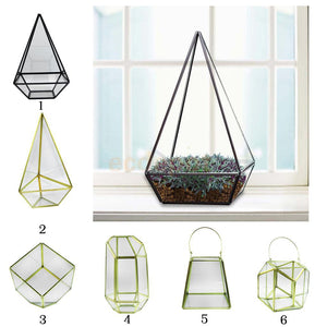 Prism Shaped Terrarium Container