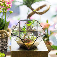Squared Triangle Symmetry - Terrarium Jar