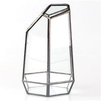 Transparent Glass Flower Vase Terrarium