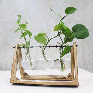 Modern Style Bonsai Holder