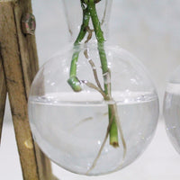 Modern Style Bonsai Holder