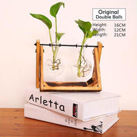 Modern Style Bonsai Holder