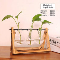 Modern Style Bonsai Holder