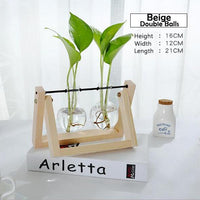 Modern Style Bonsai Holder