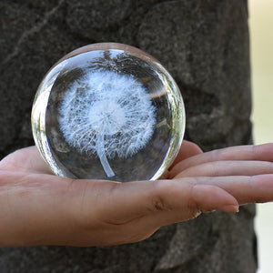 Crystal Ball 3D Dandelion Plant