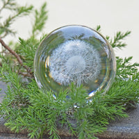 Crystal Ball 3D Dandelion Plant