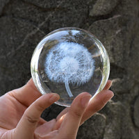Crystal Ball 3D Dandelion Plant