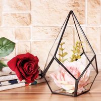 Succulent Diamond Glass Geometric Terrarium
