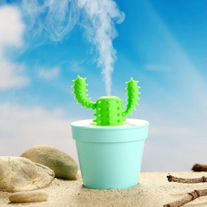 Cool Cactus Humidifier