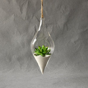 Hanging Glass Terrarium