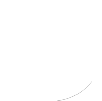 Techistia